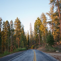 Road trip, partie 1, Yosemite