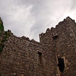 Château de Saint Bauzille de Montmel